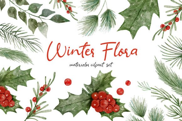 Download Winter Flora Watercolor Hand-drawn Set - Premium Resources